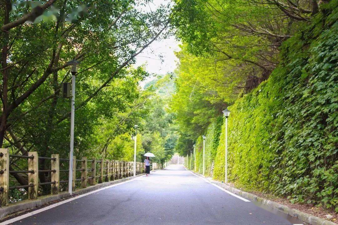 中大槐树街道最新天气预测报告