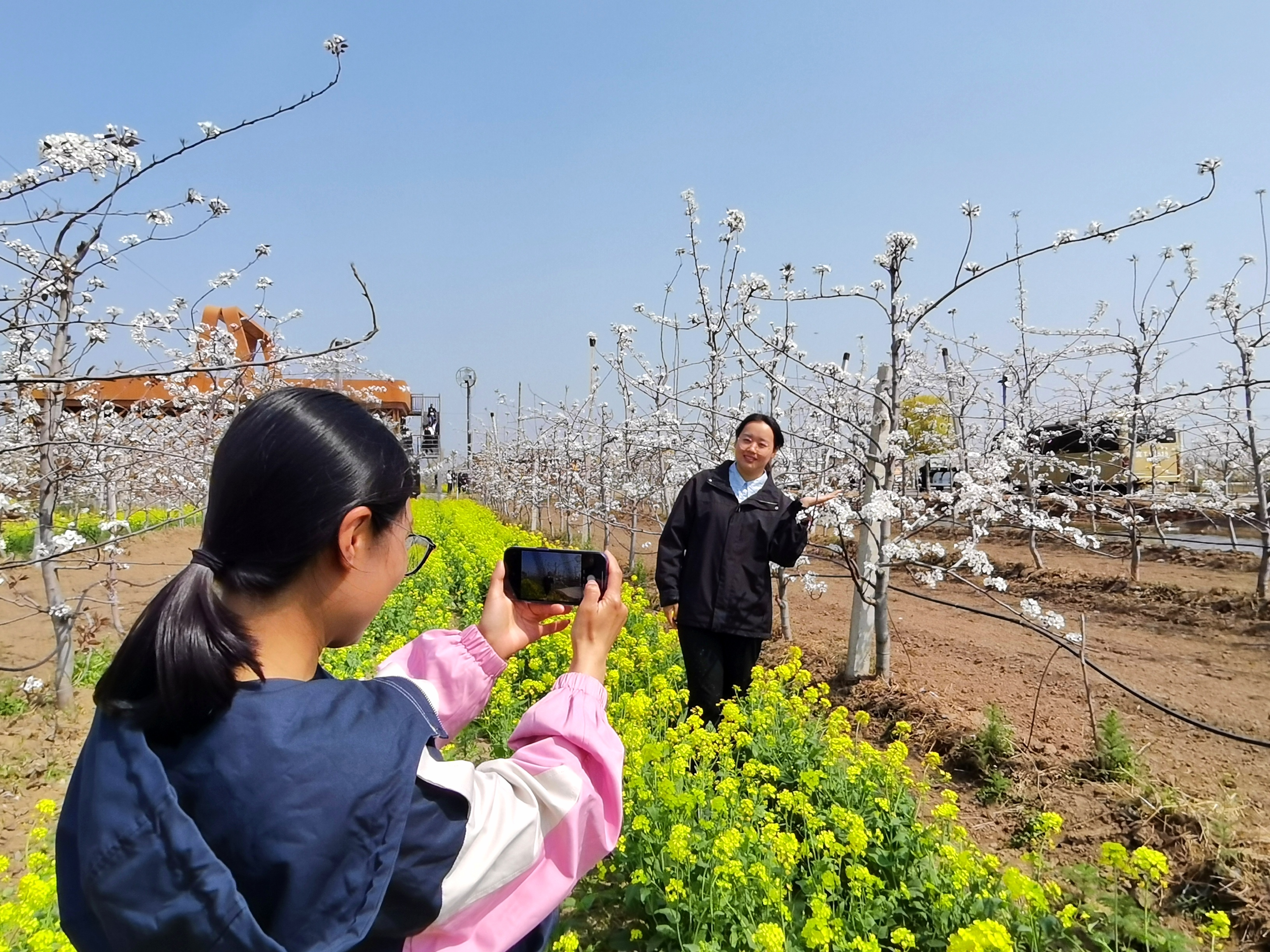 五里屯村委会启动新项目重塑乡村，迈向现代化发展之路