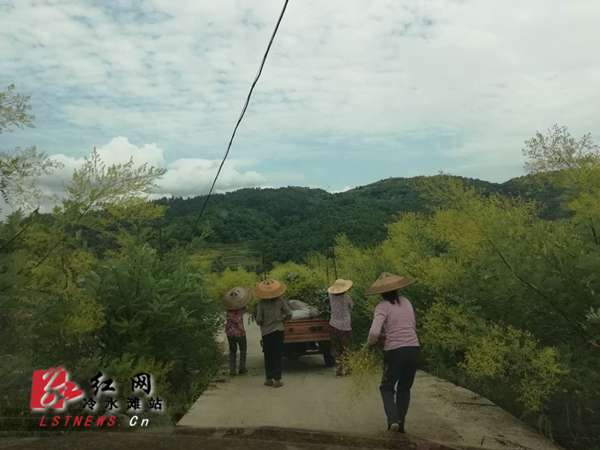 黄阳司镇未来繁荣蓝图，最新发展规划揭秘