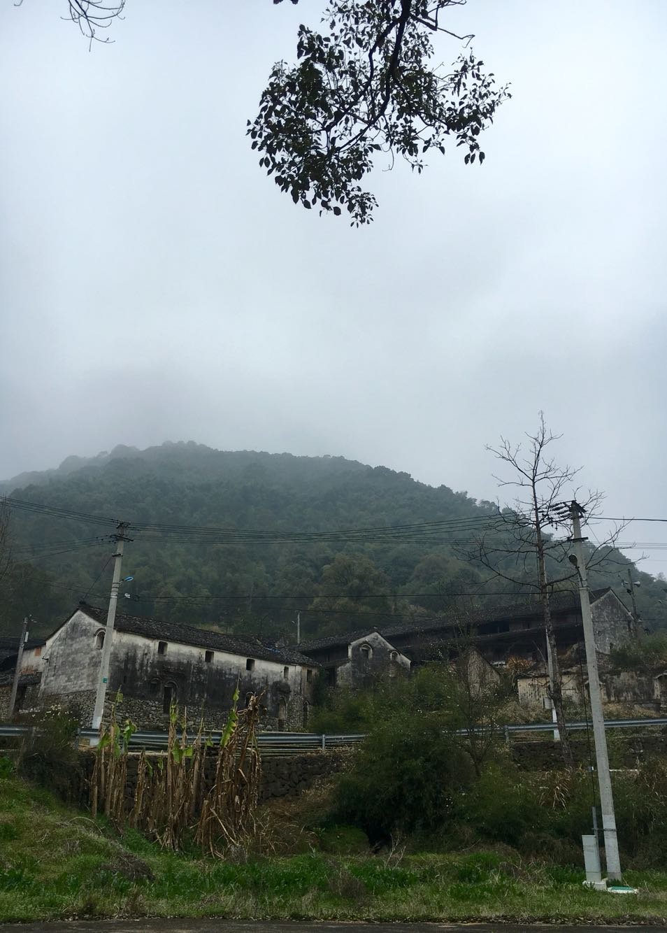 石练镇天气预报更新通知