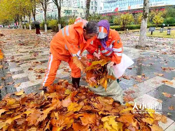 港城镇天气预报更新通知