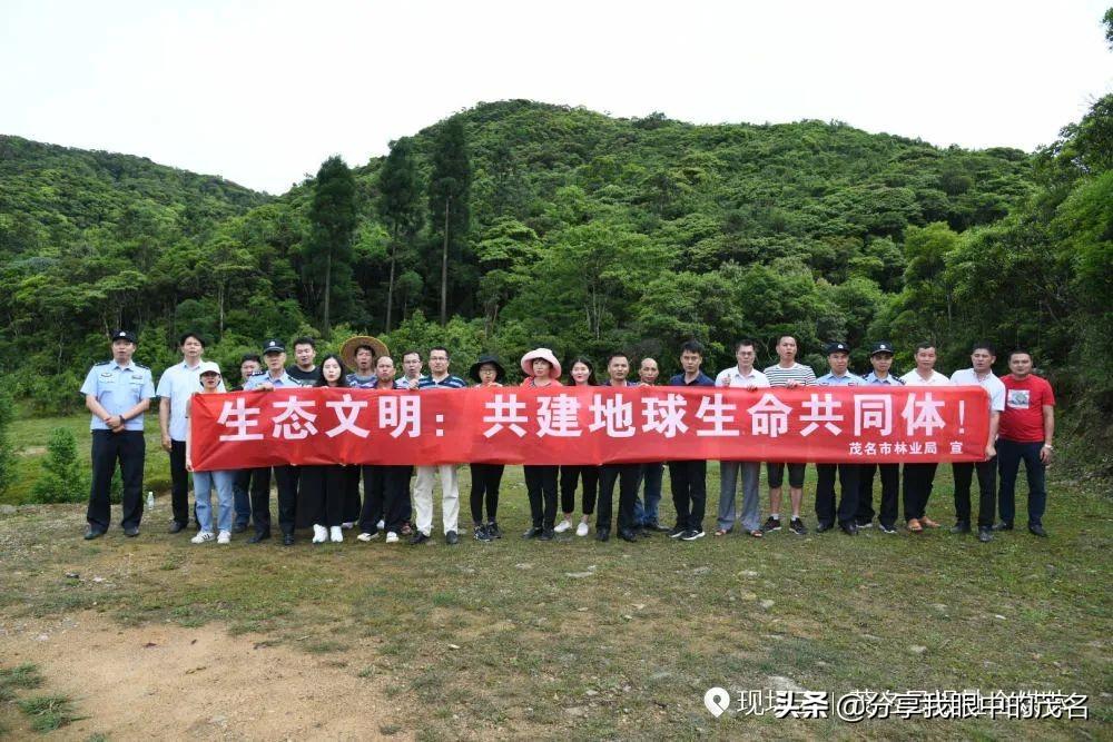 茂名市林业局绿色生态建设项目的未来展望