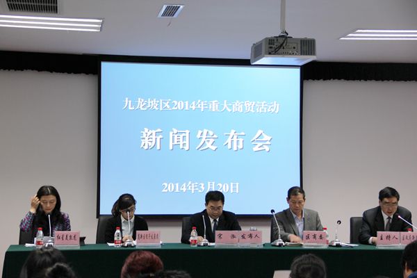 九龙坡区人民政府办公室最新项目概览