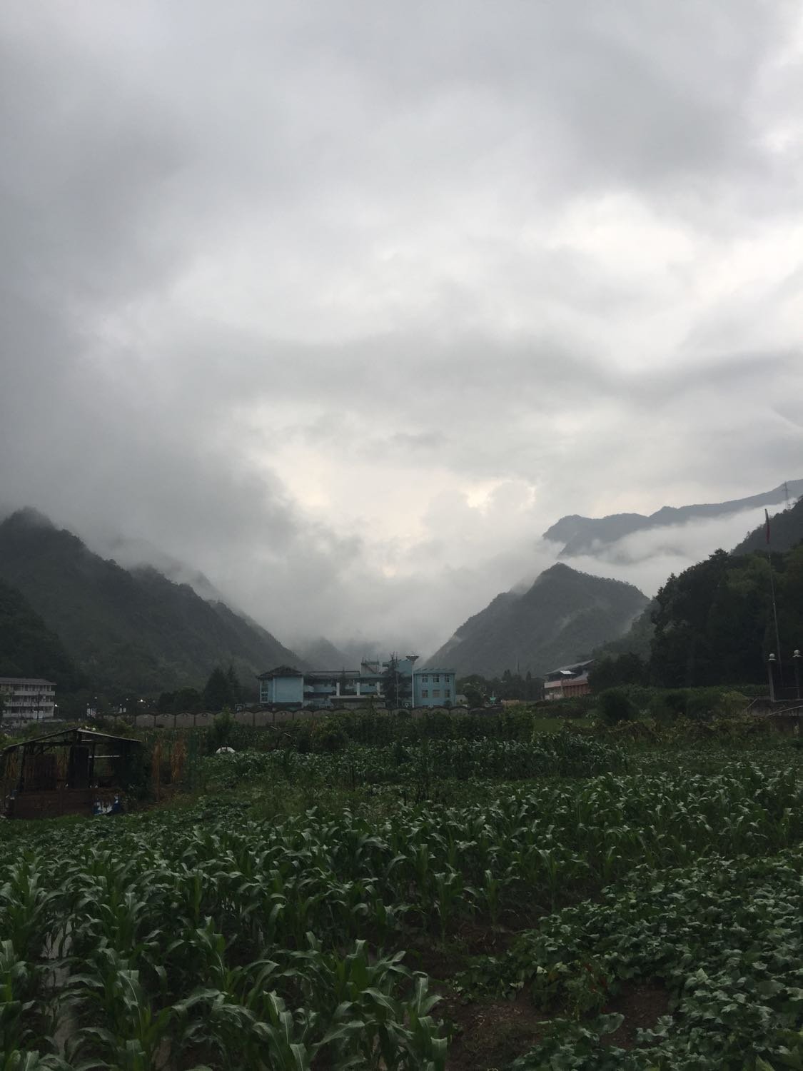 伊日乡天气预报更新通知