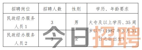 肥乡镇最新招聘信息全面解析与深度解读