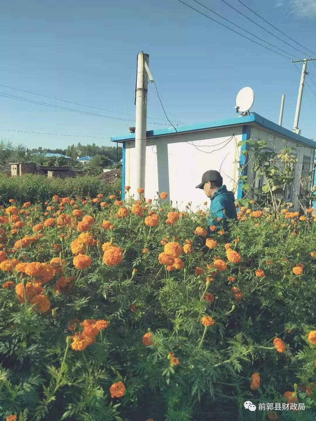 查干花镇最新项目——地区发展的强大引擎领航者