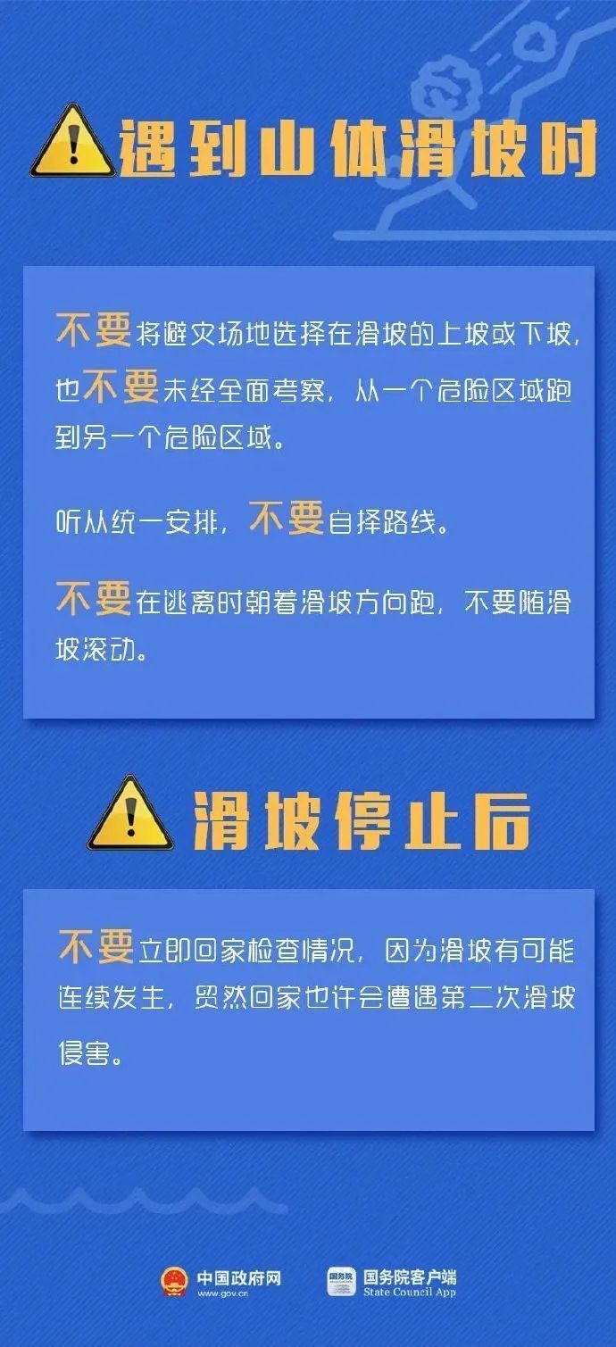 东林村委会最新招聘启事概览