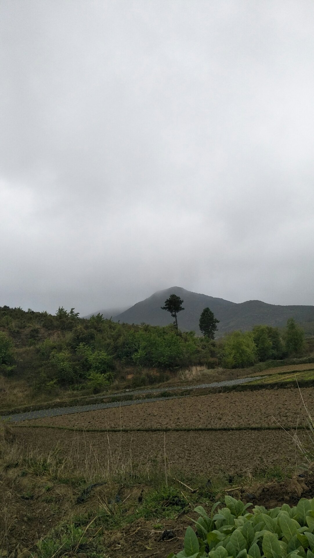 篱笆镇天气预报更新通知