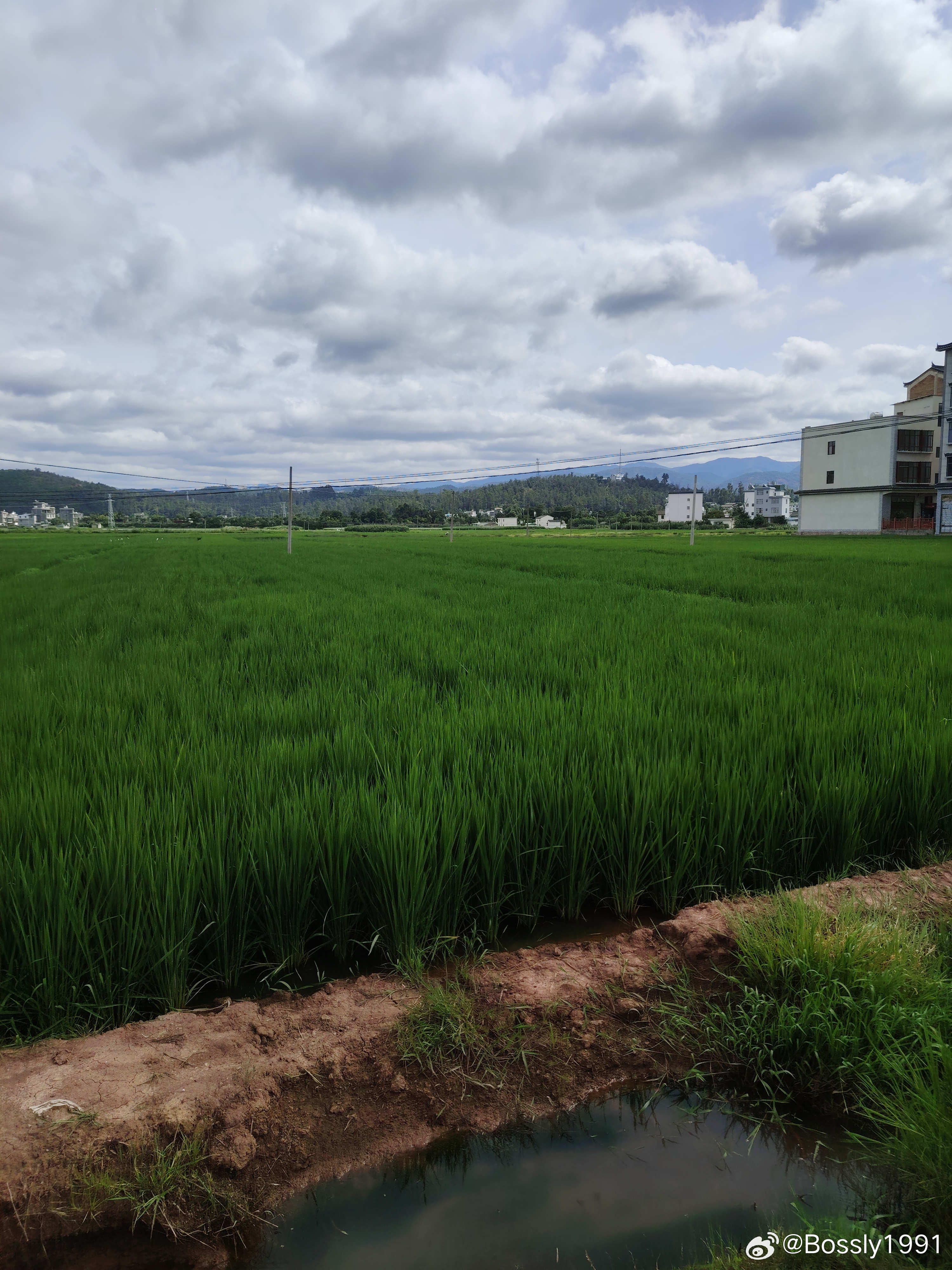 南华农场虚拟镇天气预报更新